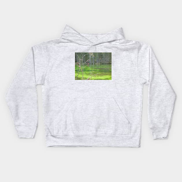 Green Lake 7 Kids Hoodie by NorthTees